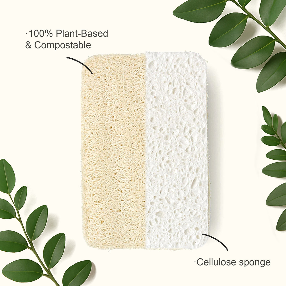 EFFINOVO dubbelzijdige keukenspons met loofah en cellulose